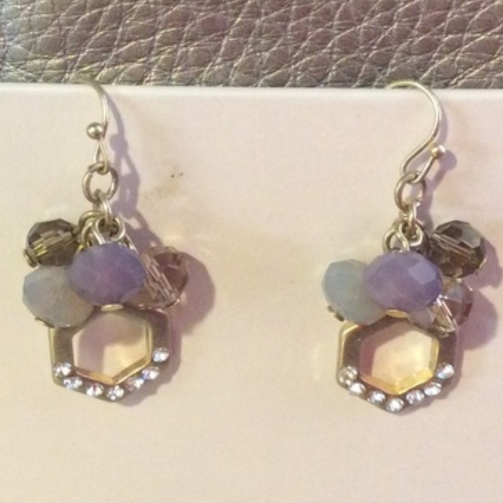 NWT - Ann Taylor Earrings  